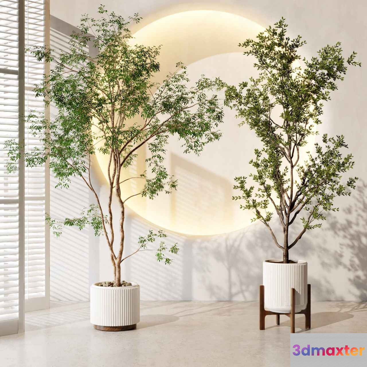 Modern Indoor Plant Display 3D Model - 3135 - VRAY Render