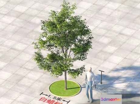 A Person Standing Next To A Tree 3D Model - 22771 - VRAY Render