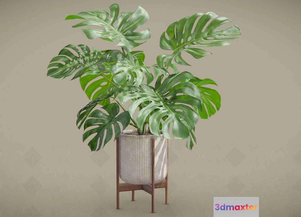 A Plant In A Pot 3D Model - 2217 - VRAY Render