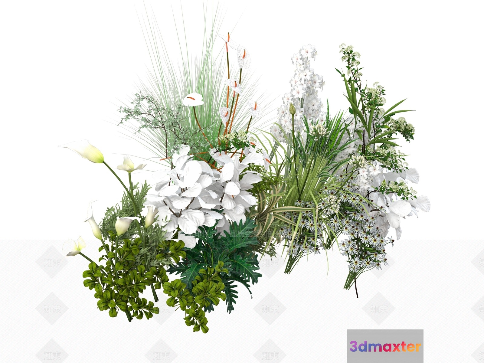 White Flowers And Greenery 3D Model - 14101 - VRAY Render