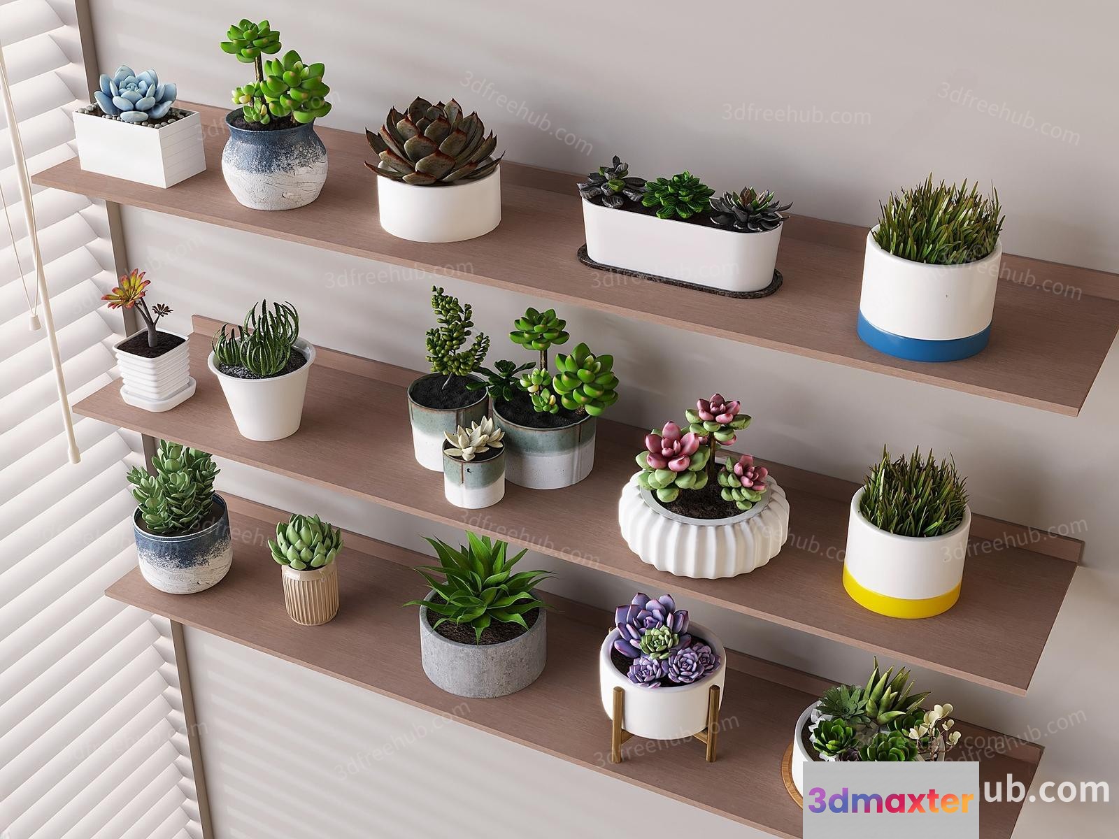 Succulent Plants On Shelves 3D Model - 22997 - VRAY Render