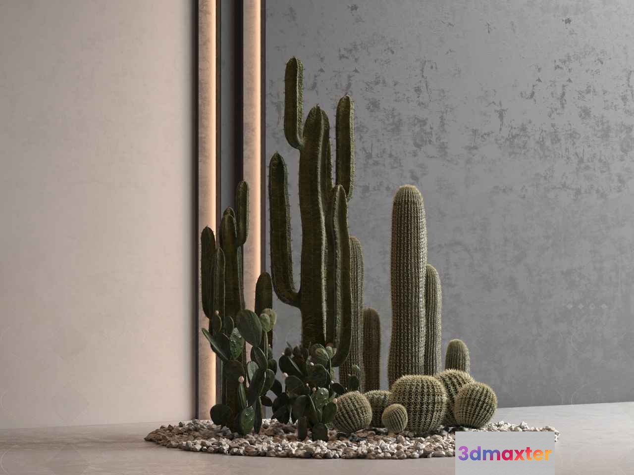 Cacti And Succulents 3D Model - 17885 - VRAY Render
