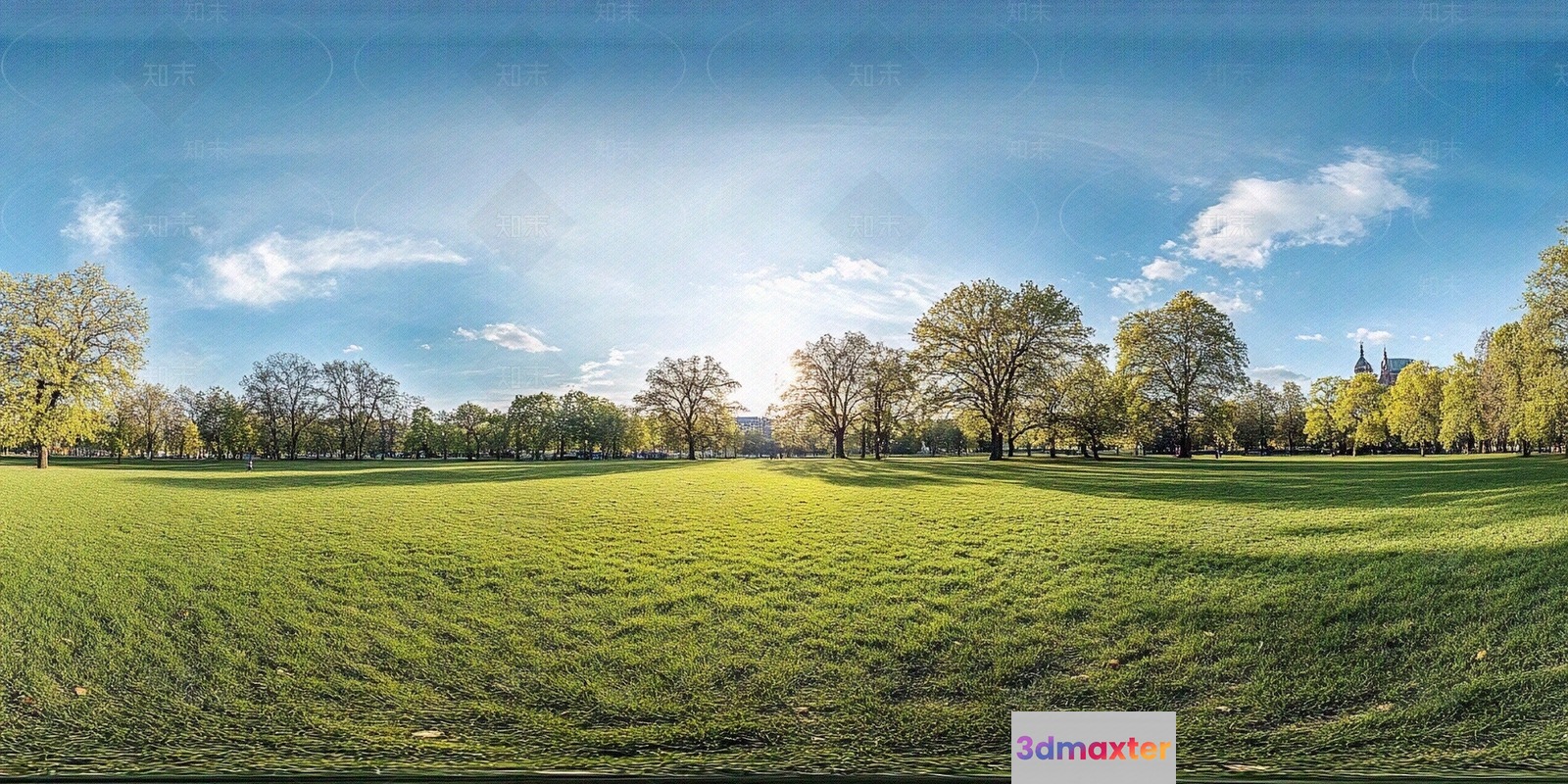 A Large Grassy Field 3D Model - 7682 - VRAY Render