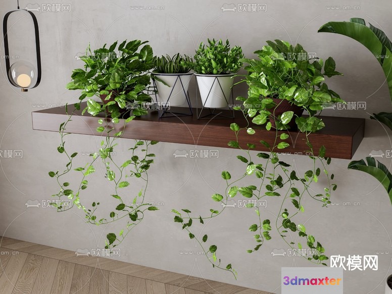 A Shelf With Plants 3D Model - 11142 - VRAY Render