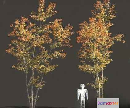 A White Human Figure Standing Between Two Trees 3D Model - 642 - VRAY Render