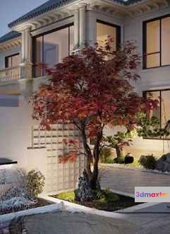 A Tree With Red Leaves 3D Model - 6698 - VRAY Render