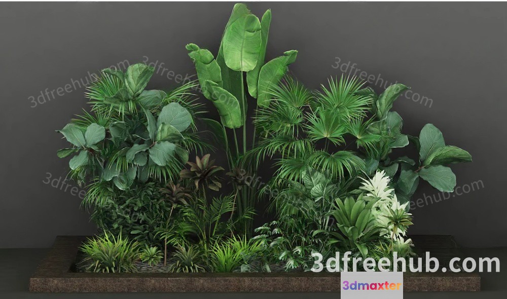 Green Plants In A Planter 3D Model - 18564 - VRAY Render