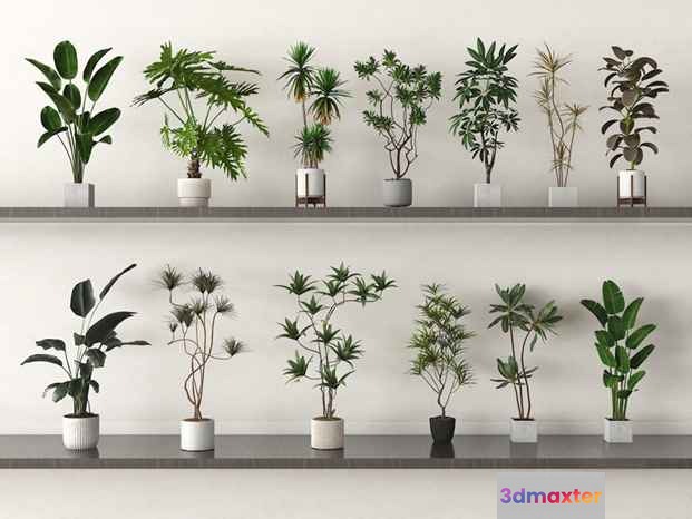 Modern Plant Shelf 3D Model - 17321 - VRAY Render