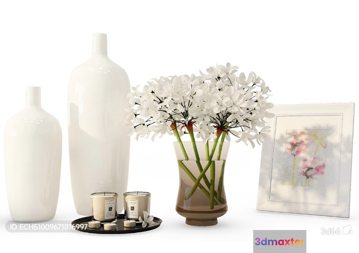 A Vase With White Flowers 3D Model - 6281 - VRAY Render