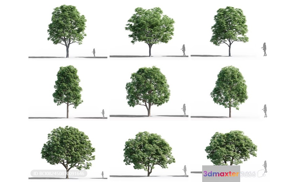 Trees With People Walking Around Them 3D Model - 8834 - VRAY Render