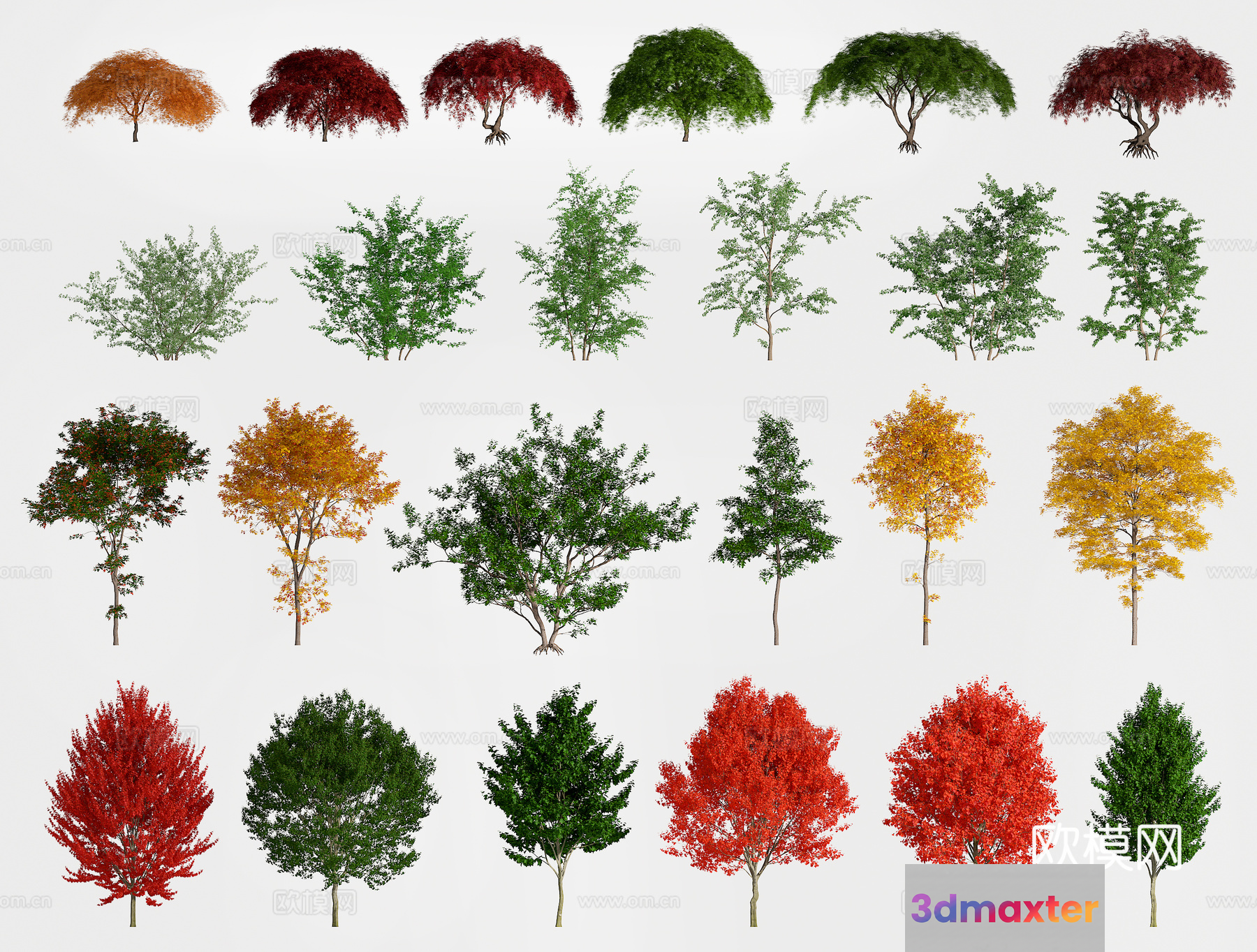 A Collection Of Trees 3D Model - 14023 - VRAY Render