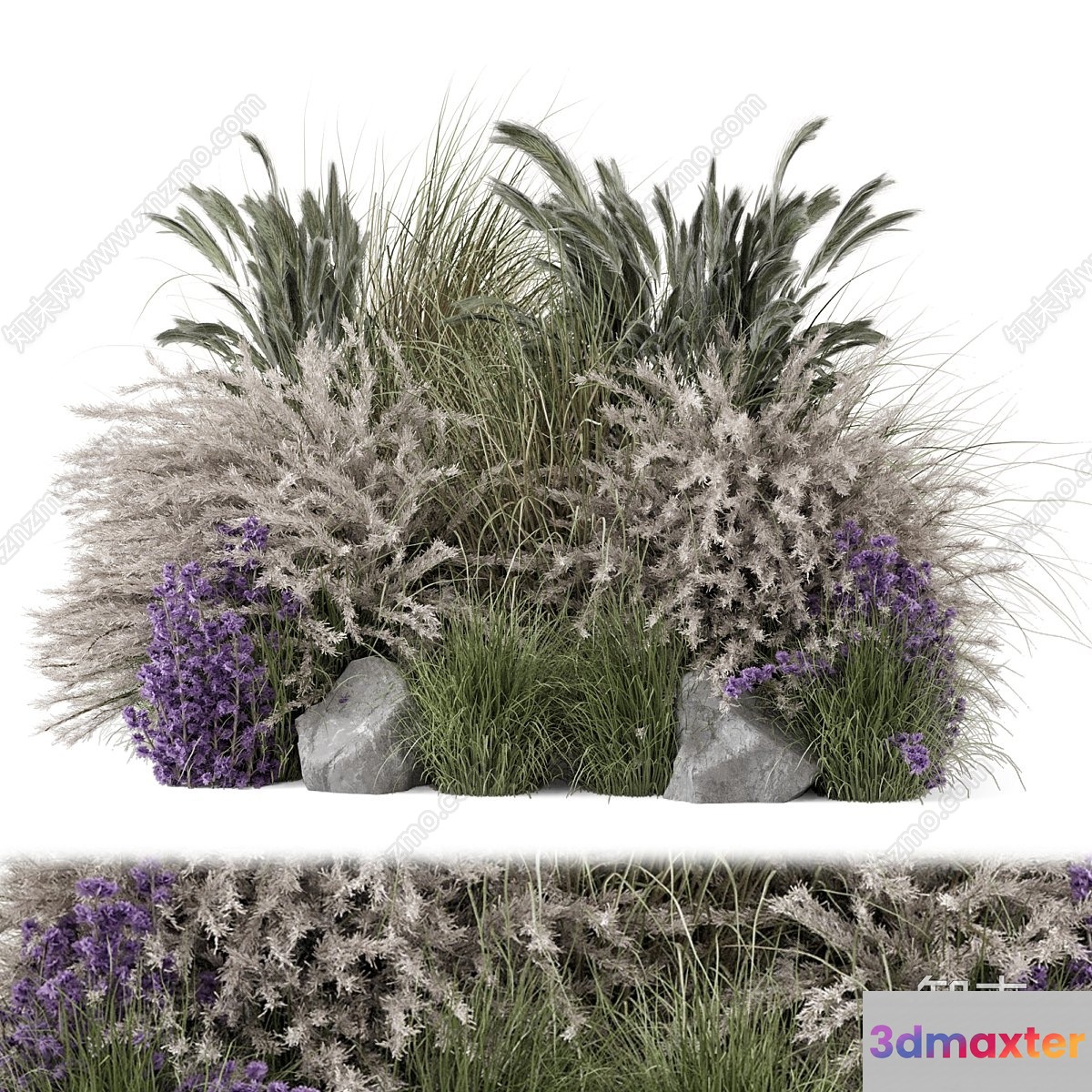 A Grassy Garden 3D Model - 11216 - VRAY Render