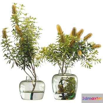 Two Glass Vases 3D Model - 144 - VRAY Render