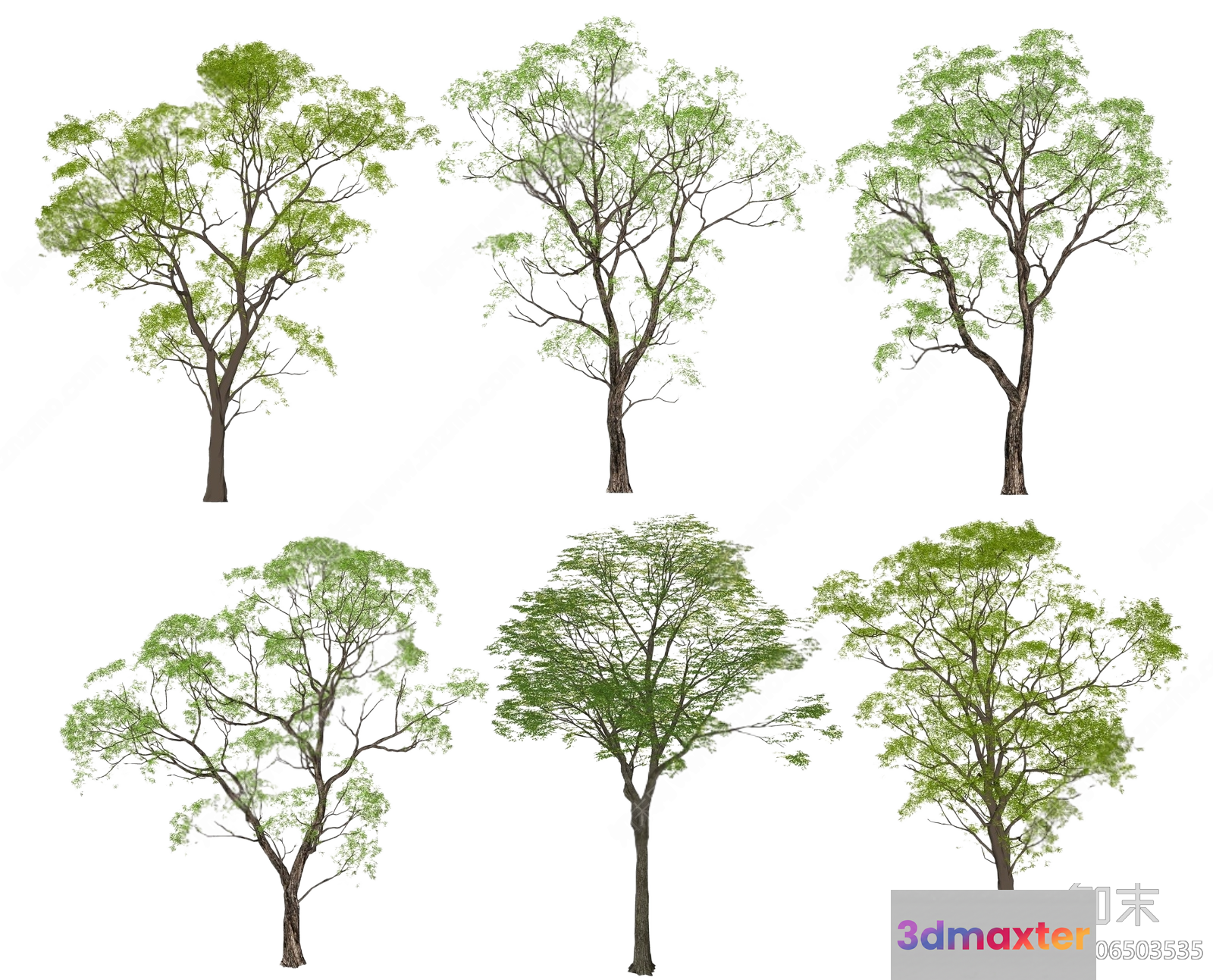 Tree Illustrations 3D Model - 6354 - VRAY Render