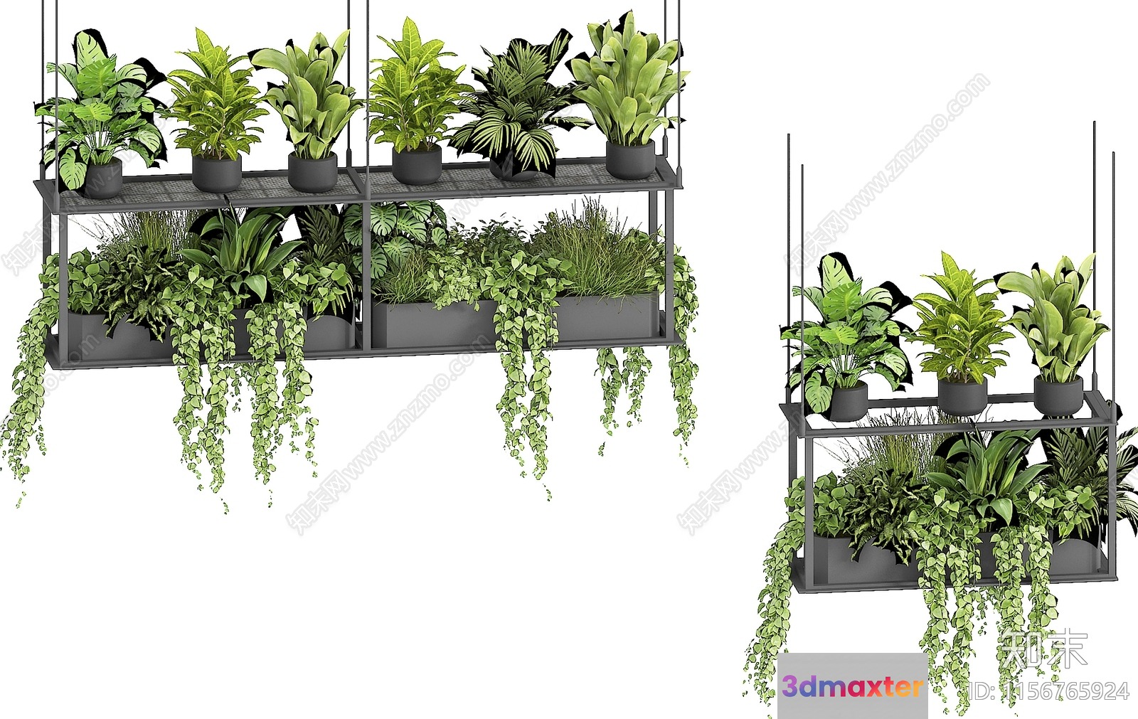 Green Plants On Shelves 3D Model - 9474 - VRAY Render