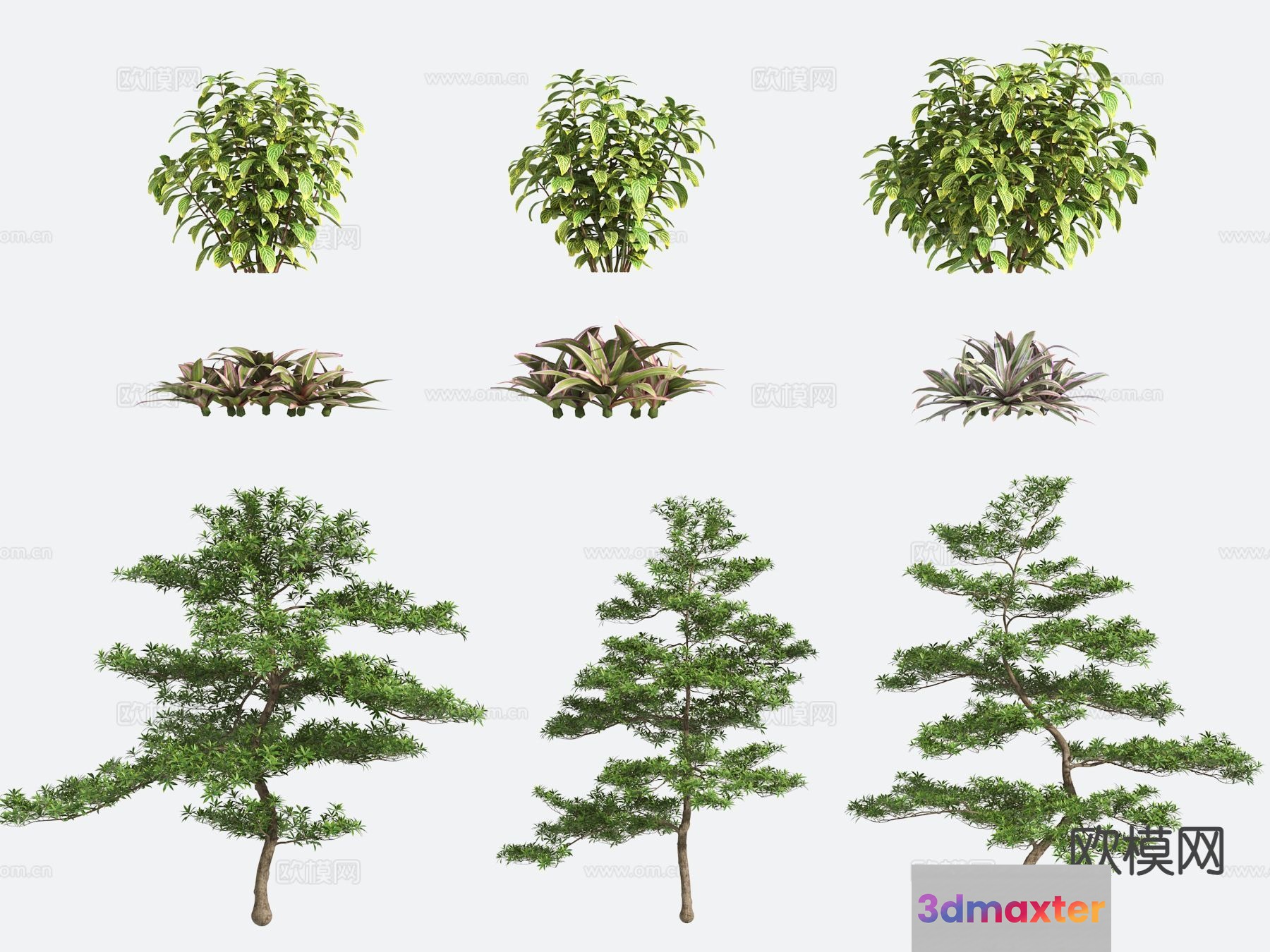 Three Trees 3D Model - 21724 - VRAY Render