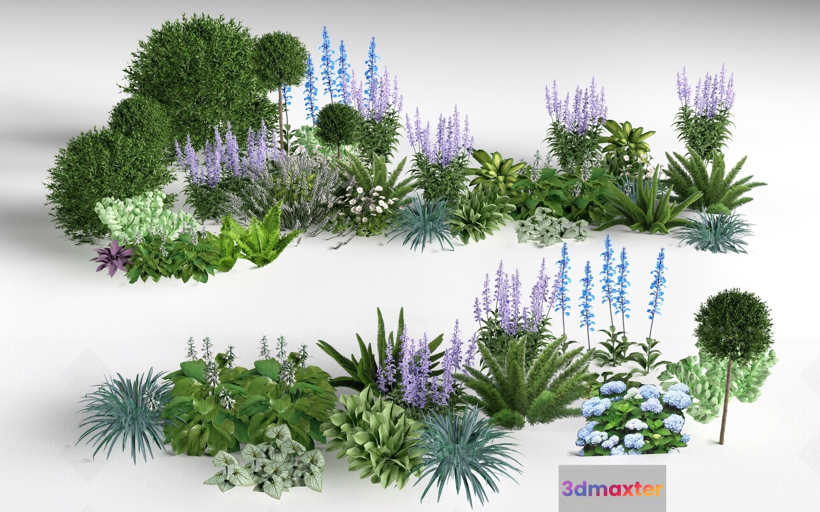 A Collection Of Plants 3D Model - 10610 - VRAY Render