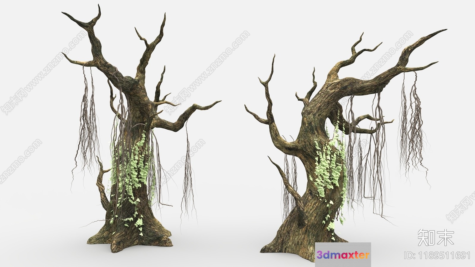 A Pair Of Old Trees With Vines 3D Model - 11429 - VRAY Render