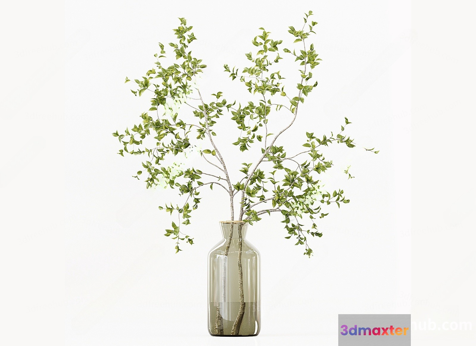 A Clear Glass Vase With A Narrow Neck And A Wide Base Containing A 3D Model - 20925 - VRAY Render