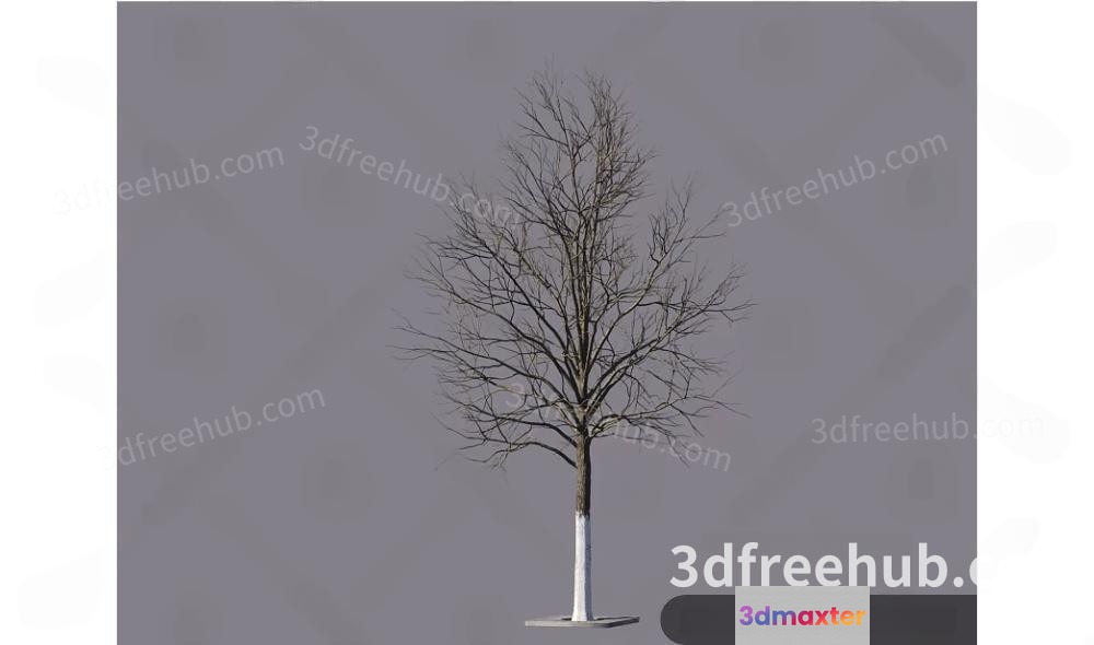 A Bare Tree With A White Trunk 3D Model - 18739 - VRAY Render