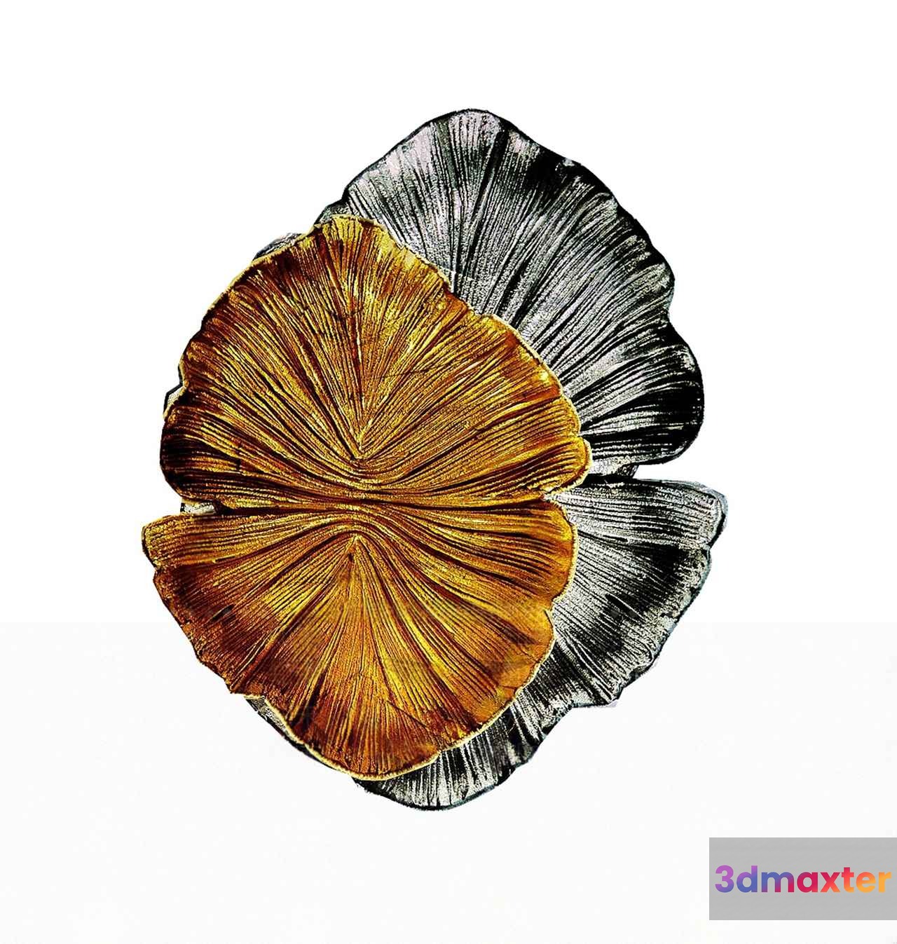 A Decorative Shell-Shaped Object 3D Model - 11721 - VRAY Render
