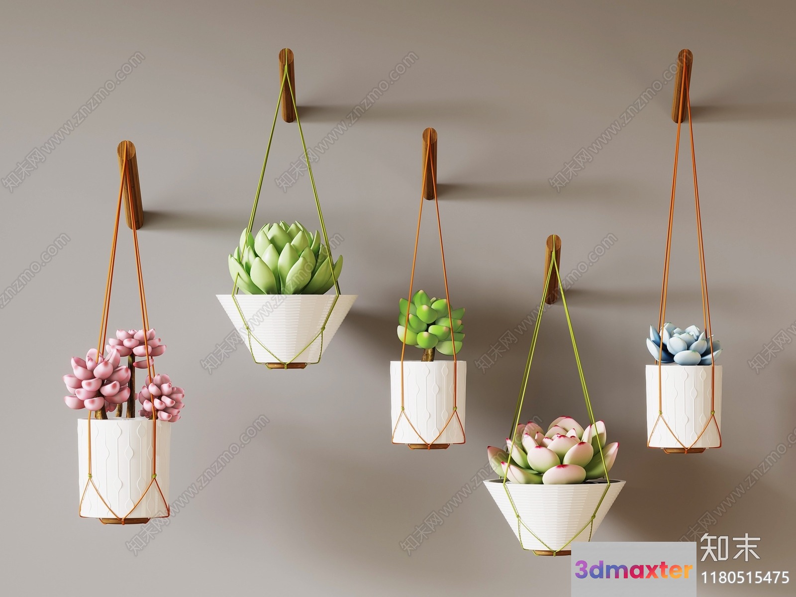 Succulent Hanging Planters 3D Model - 2188 - VRAY Render