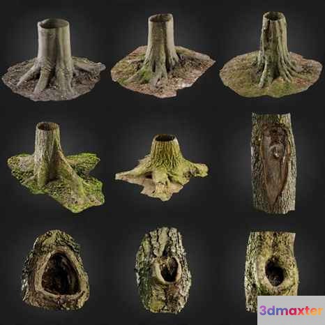 Tree Stump Images 3D Model - 11430 - VRAY Render