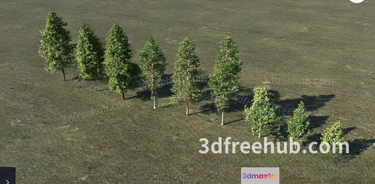 A 3D Rendering Of Trees In A Field 3D Model - 18573 - VRAY Render