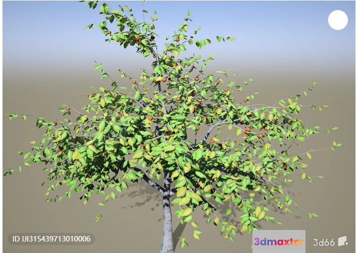 A Tree With Green Leaves And Red Apples 3D Model - 2220 - VRAY Render