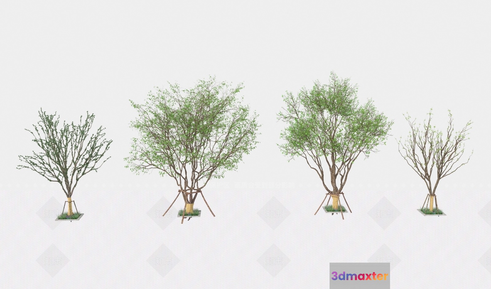 A Collection Of Four Trees 3D Model - 17402 - VRAY Render