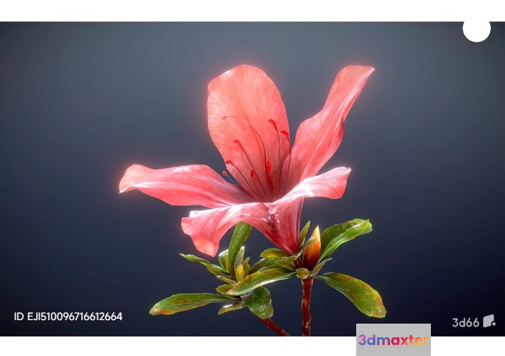 Pink Flower With Green Leaves 3D Model - 6679 - VRAY Render