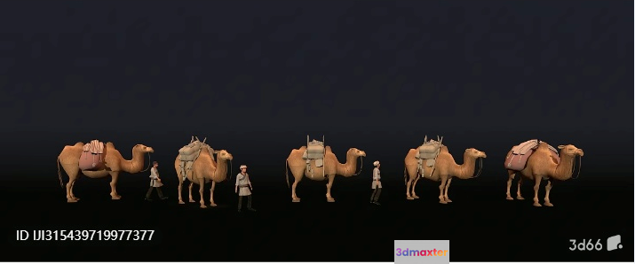 Camels And A Person 3D Model - 3658 - VRAY Render