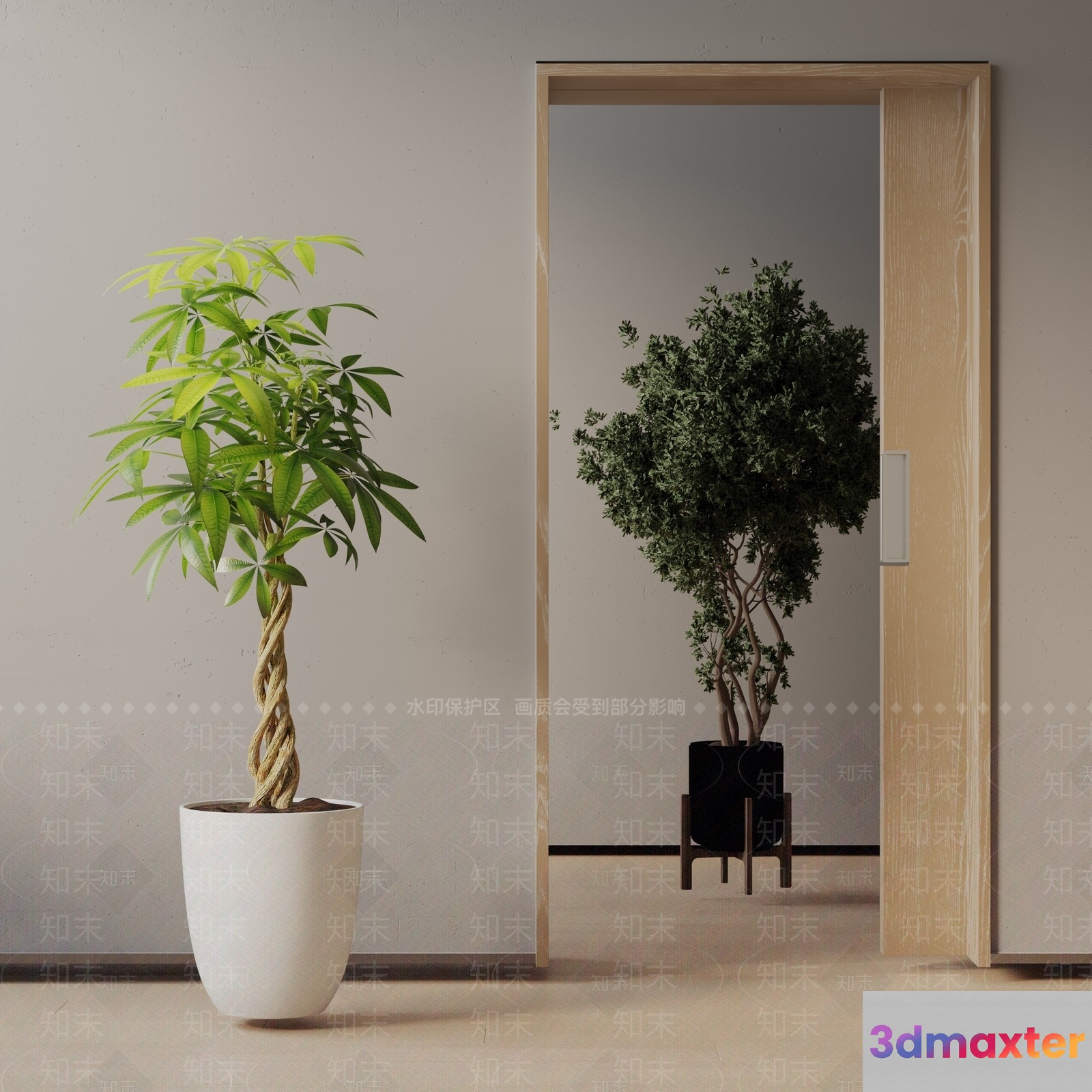 Modern Indoor Plants 3D Model - 15988 - VRAY Render