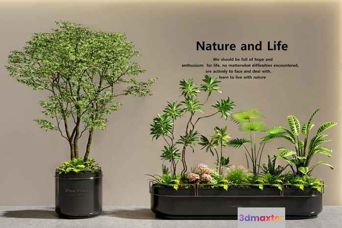 Nature And Life 3D Model - 5345 - VRAY Render