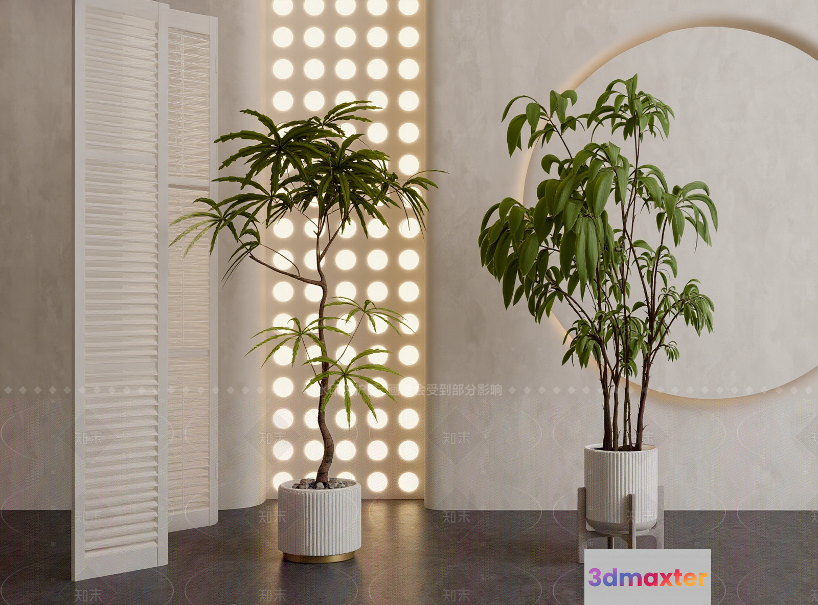 Modern Indoor Plants 3D Model - 17285 - VRAY Render