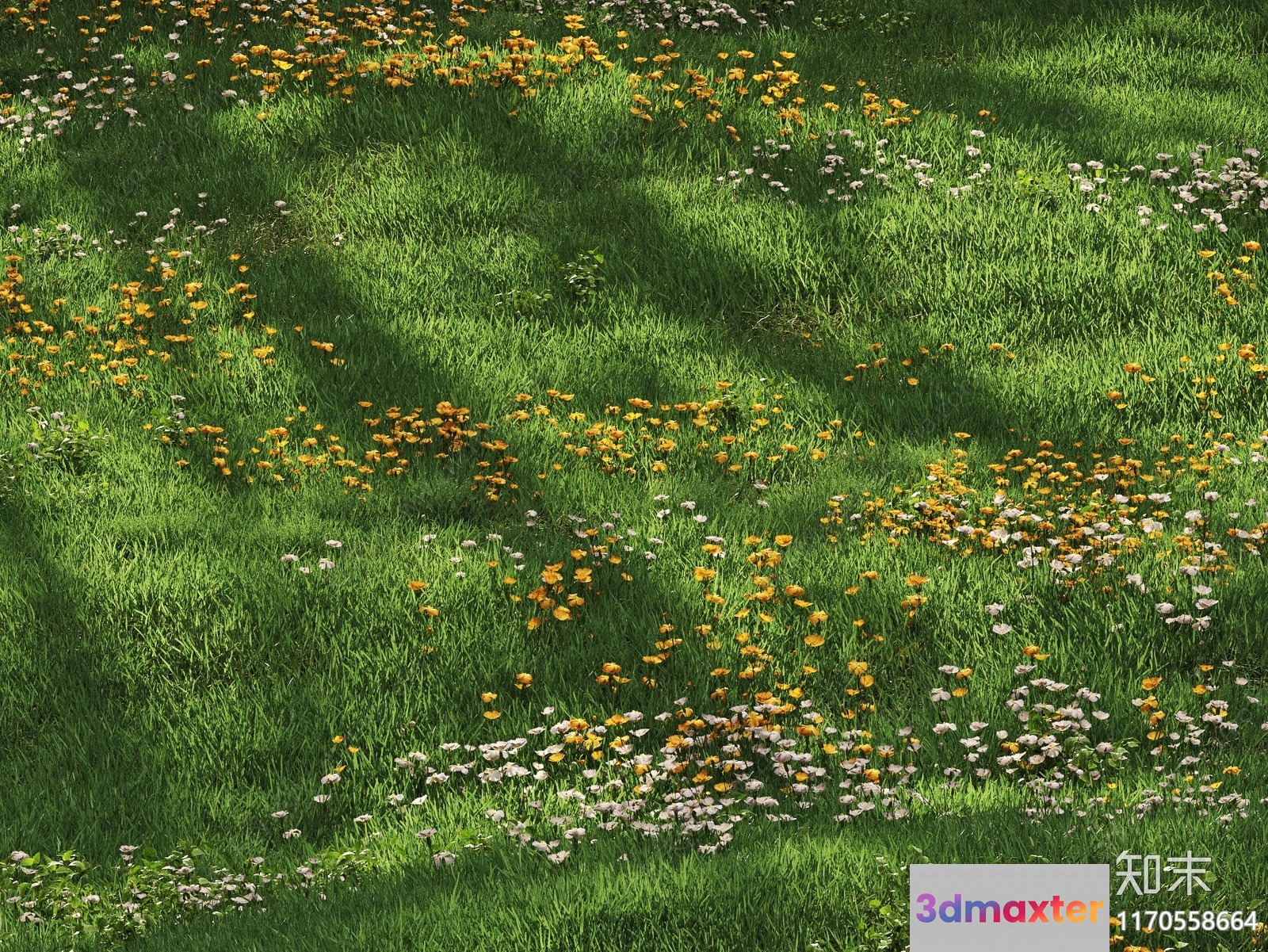 A Field Of Wildflowers 3D Model - 11344 - CORONA Render