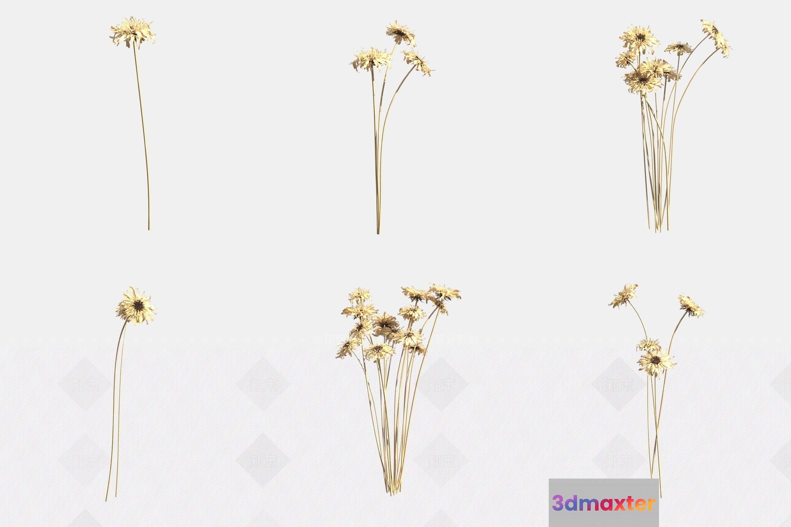 Dried Flowers On A White Background 3D Model - 22809 - VRAY Render