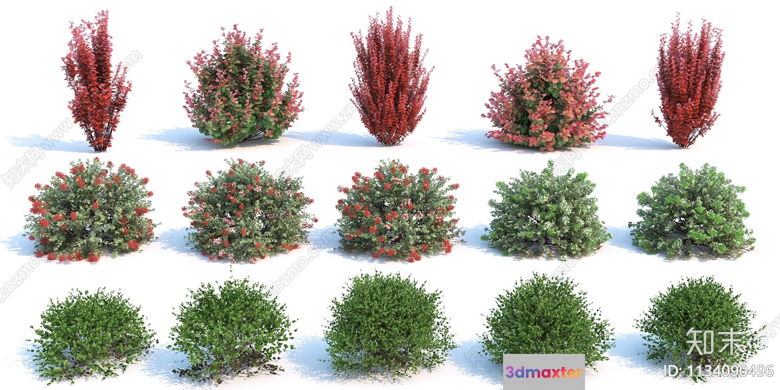 Bushes With Green And Red Leaves 3D Model - 4940 - VRAY Render