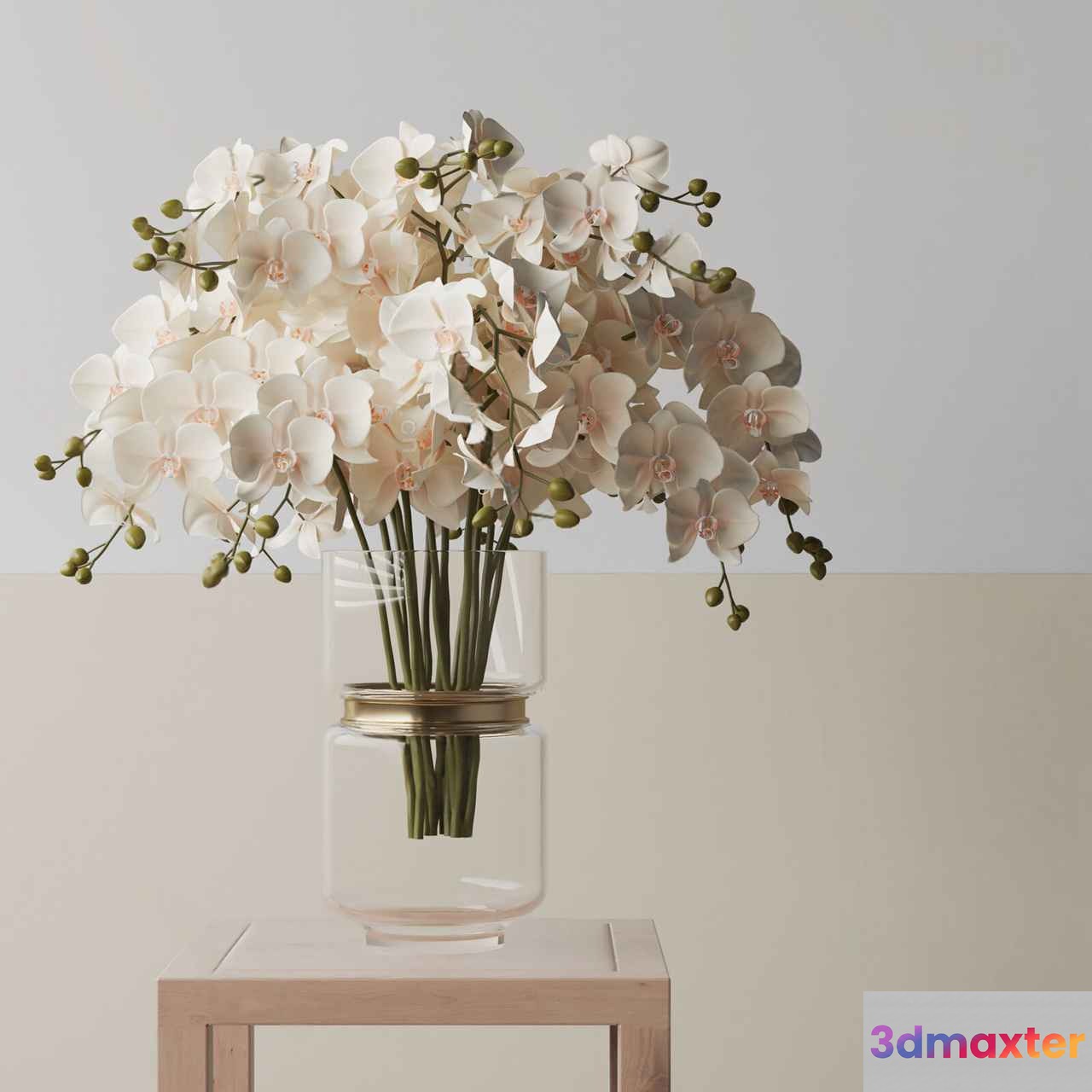 A Vase Of White Flowers 3D Model - 3729 - VRAY Render