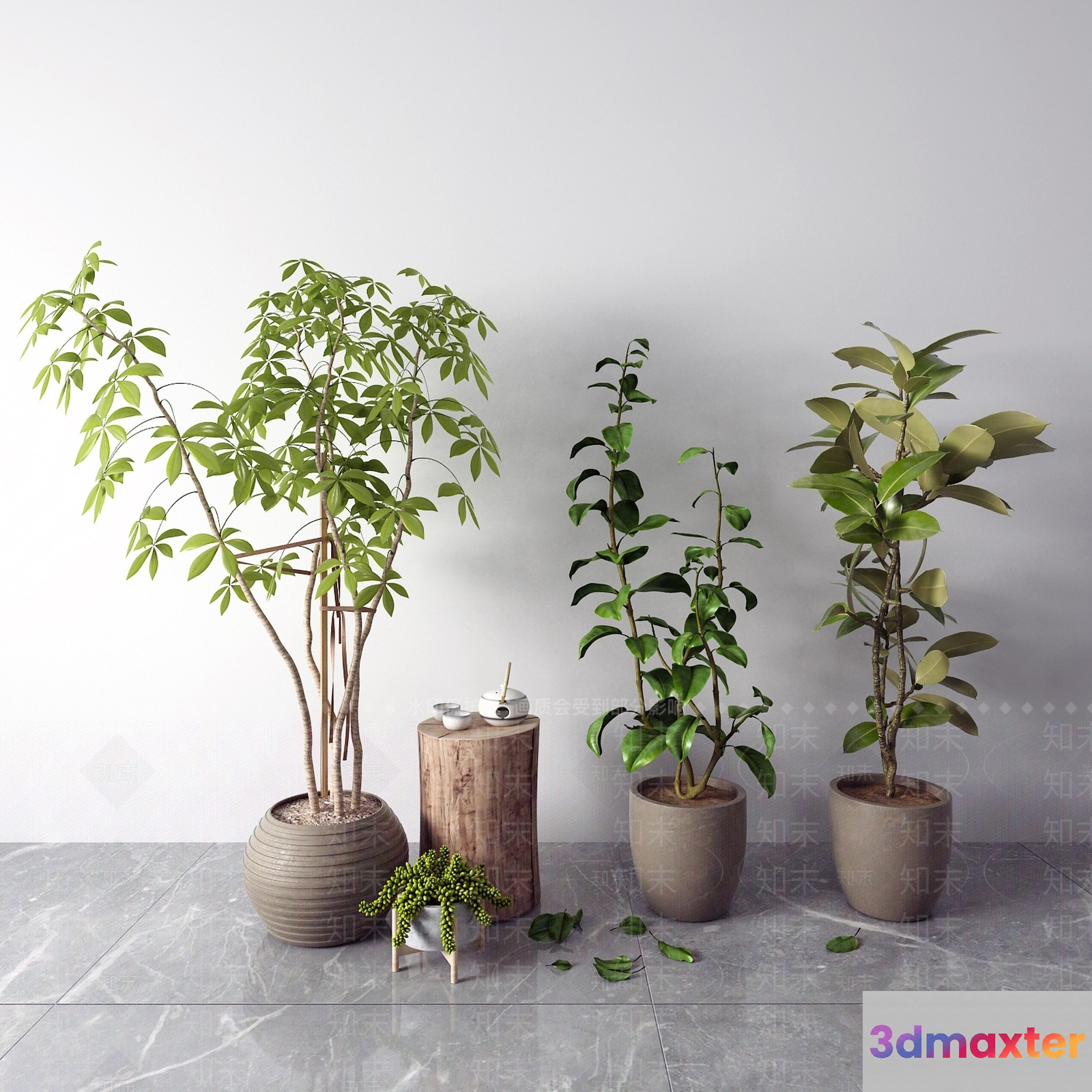 Potted Plants In A Room 3D Model - 9573 - VRAY Render