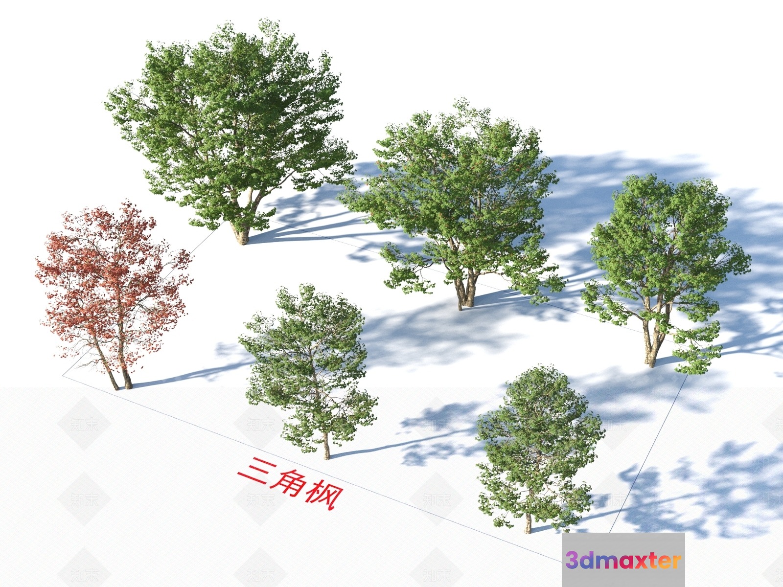 A Collection Of Trees With Varying Colors And Sizes 3D Model - 4116 - VRAY Render