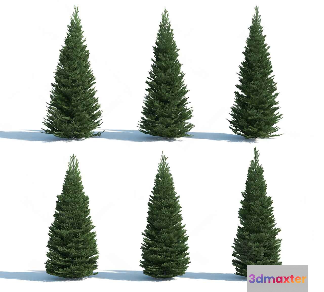 Six Christmas Trees 3D Model - 21388 - VRAY Render