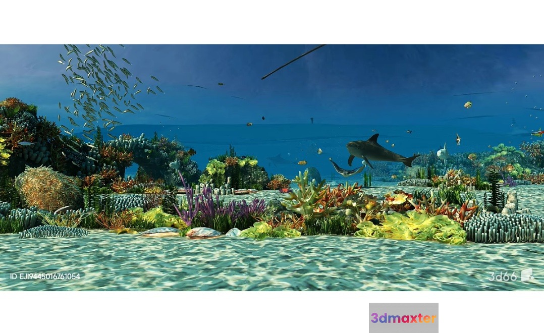 Underwater Scene With A Dolphin 3D Model - 2105 - VRAY Render