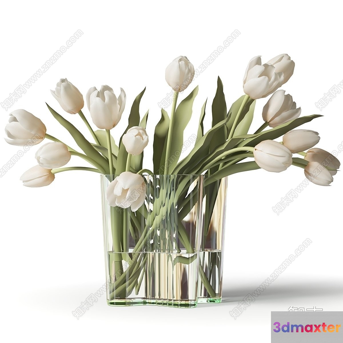 A Glass Vase With White Tulips 3D Model - 11356 - VRAY Render
