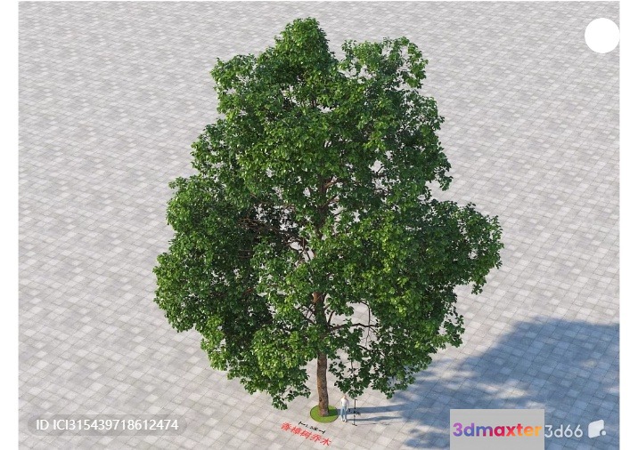 A Tree 3D Model - 7286 - VRAY Render