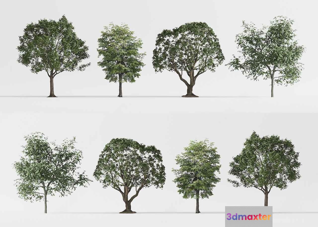 Trees With Green Leaves 3D Model - 19734 - CORONA Render