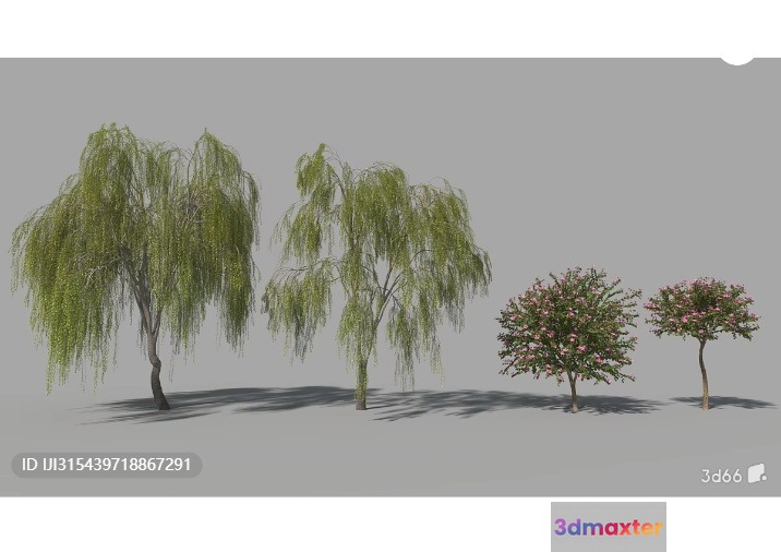 Trees In A Row 3D Model - 3104 - VRAY Render
