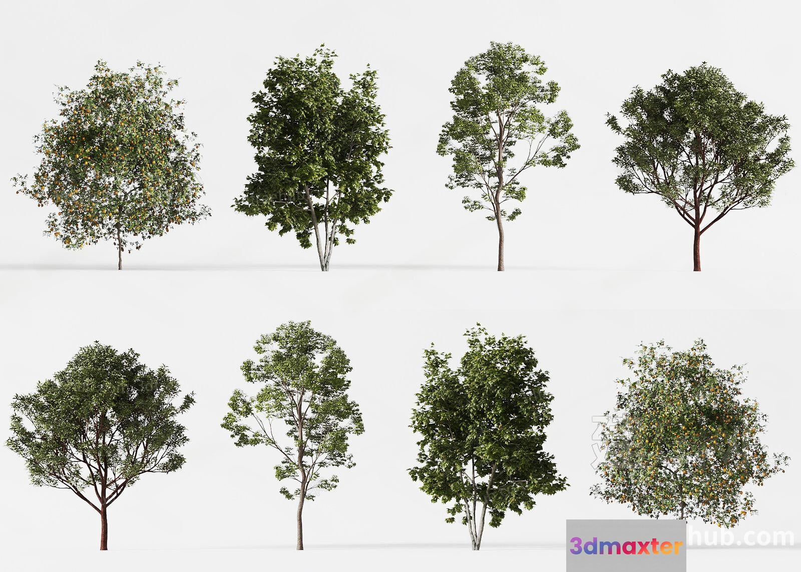 Trees With Green Leaves 3D Model - 22045 - VRAY Render