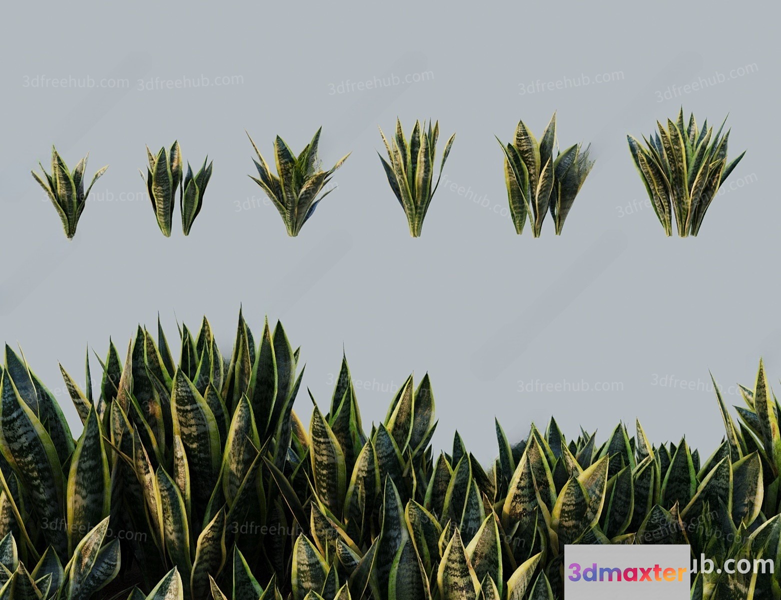 A Plant With Long Pointed Leaves 3D Model - 18526 - VRAY Render
