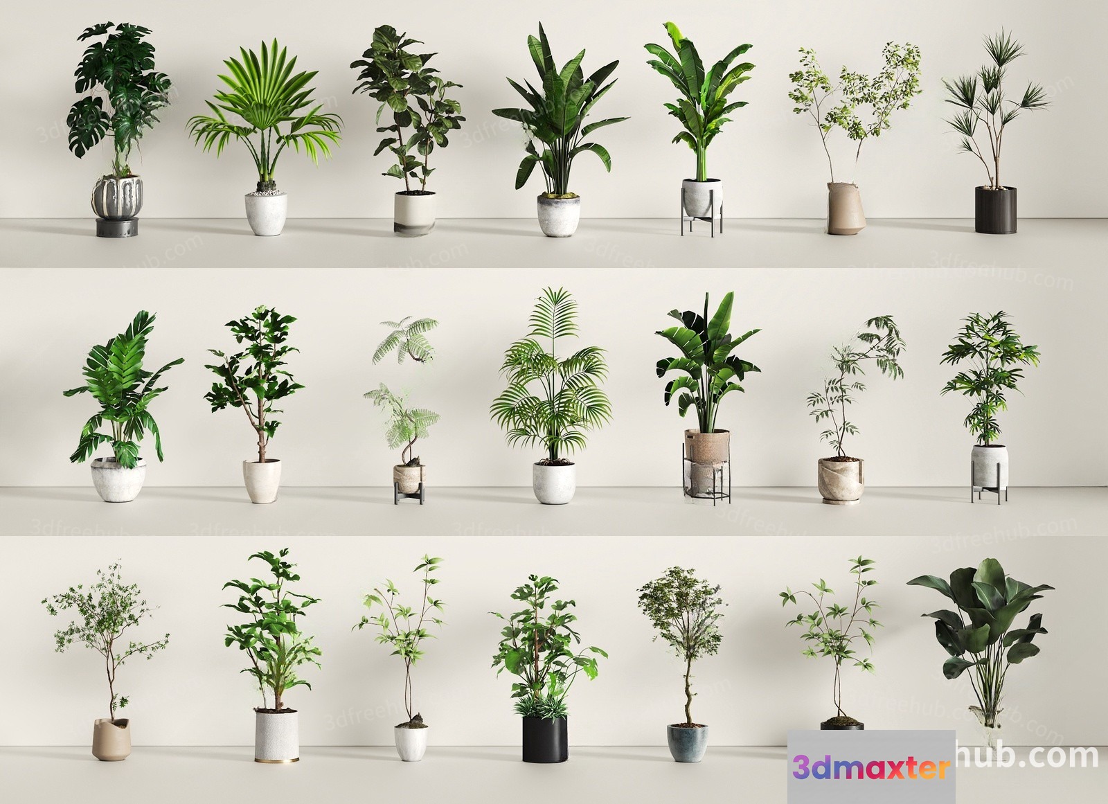 Green House Plants 3D Model - 21790 - VRAY Render